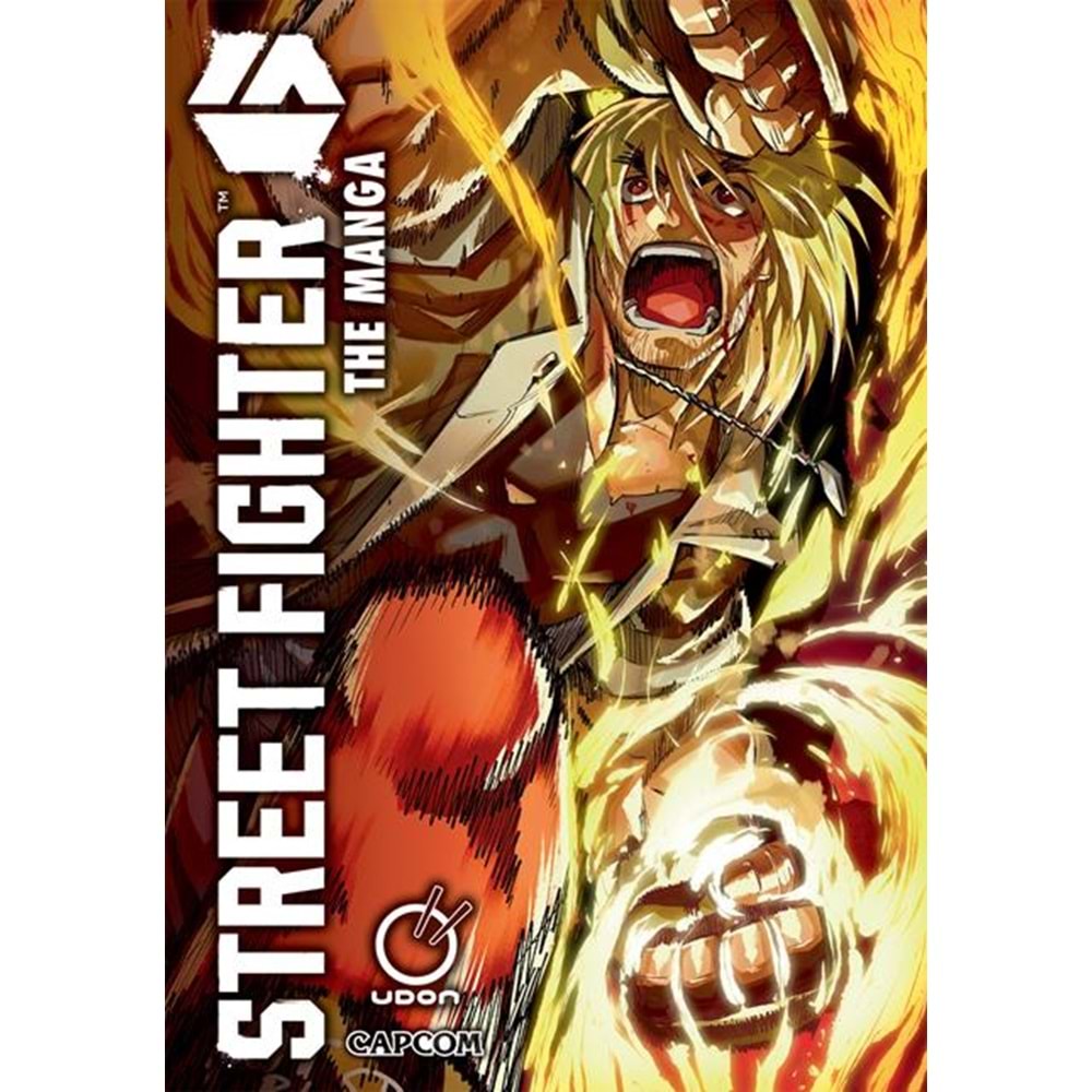 STREET FIGHTER 6 THE MANGA TPB