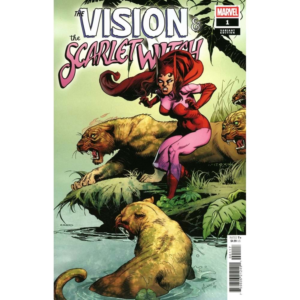 VISION AND THE SCARLET WITCH #1 (OF 5) 1:50 SANDY PLUNKETT HIDDEN GEM VARIANT