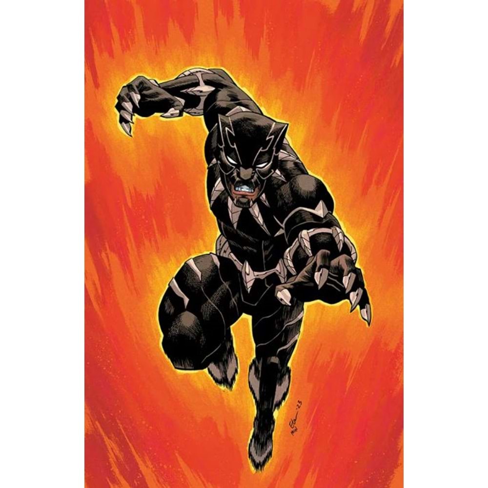 ULTIMATE BLACK PANTHER #1 ITALIAN EDITION PANINI STORE EXCLUSIVE ETHAN YOUNG VIRGIN FOIL VARIANT