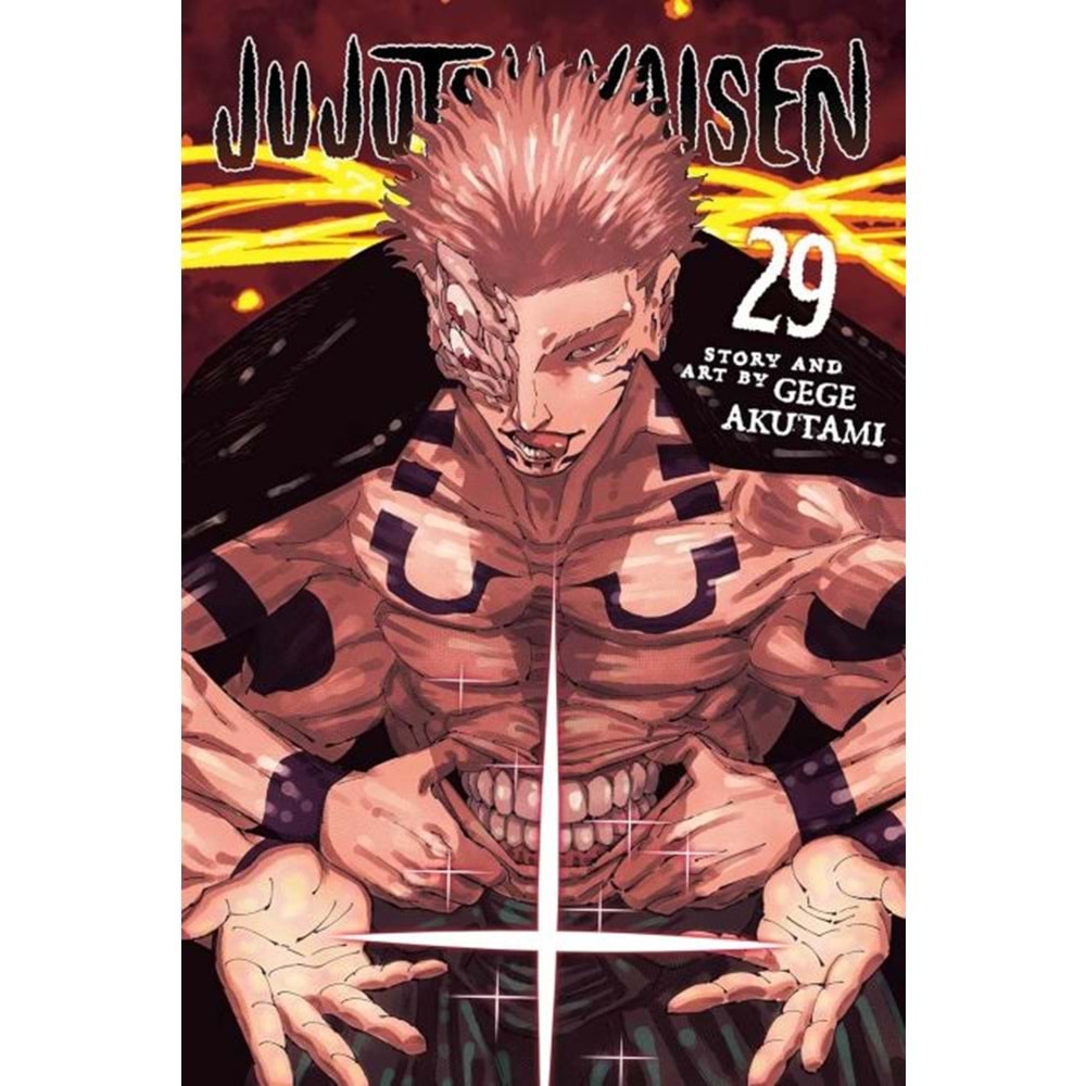 JUJUTSU KAISEN VOL 29 TPB