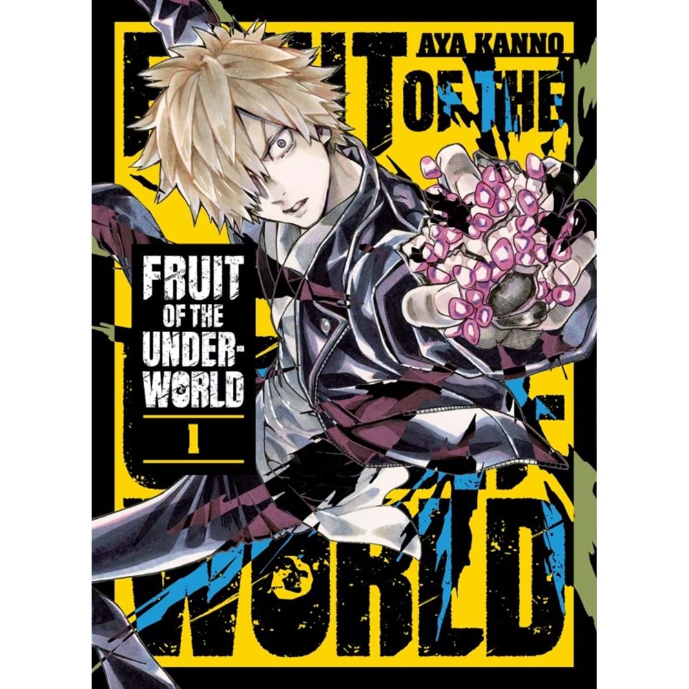 FRUIT OF THE UNDERWORLD VOL 1 TPB