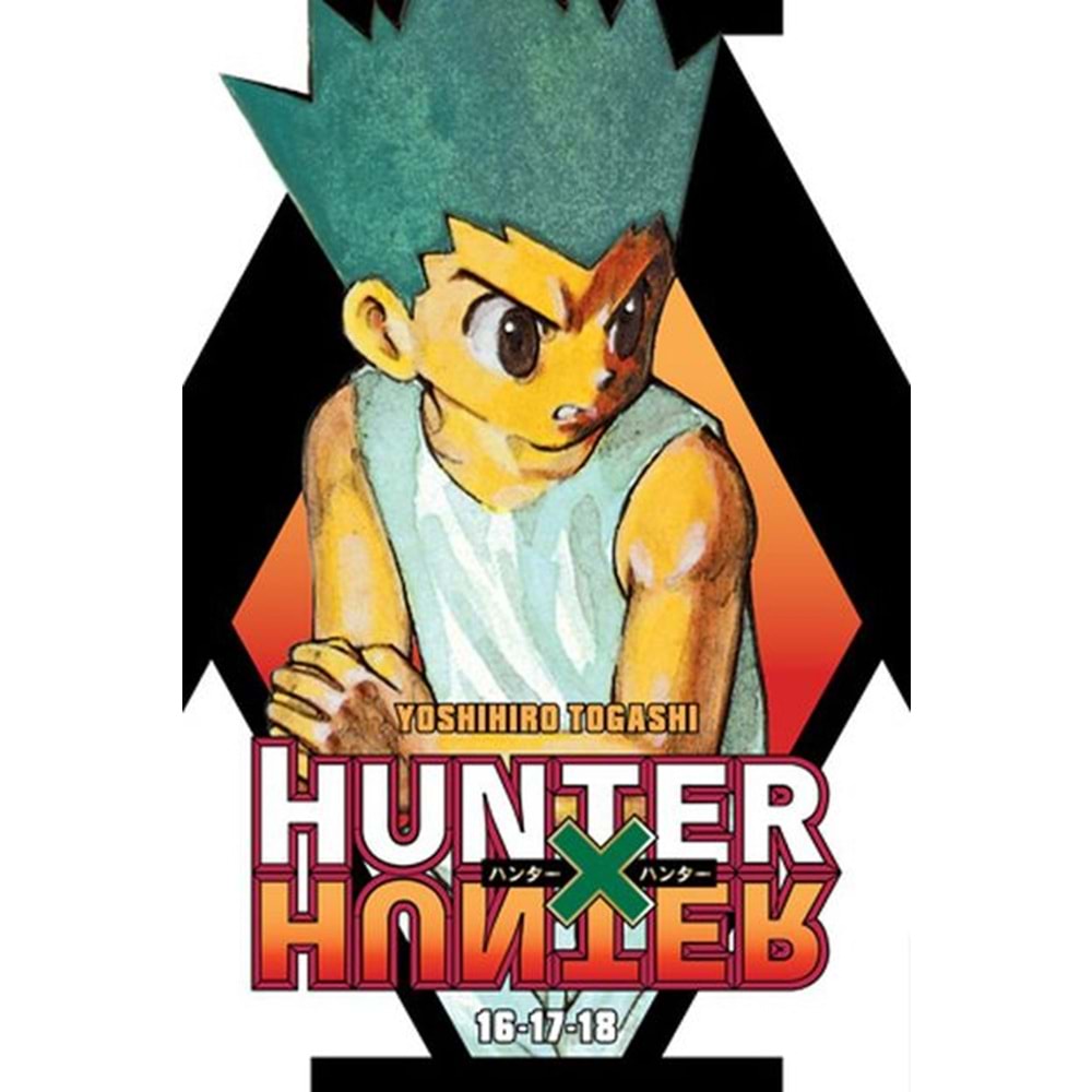 HUNTER X HUNTER 3IN1 VOL 6 TPB