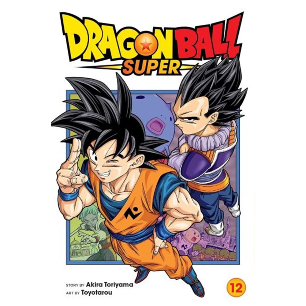 DRAGON BALL SUPER VOL 12 TPB
