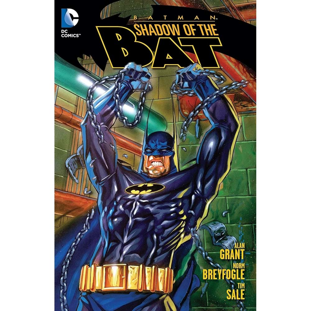 Batman Shadow Of The Bat Vol 1 TPB