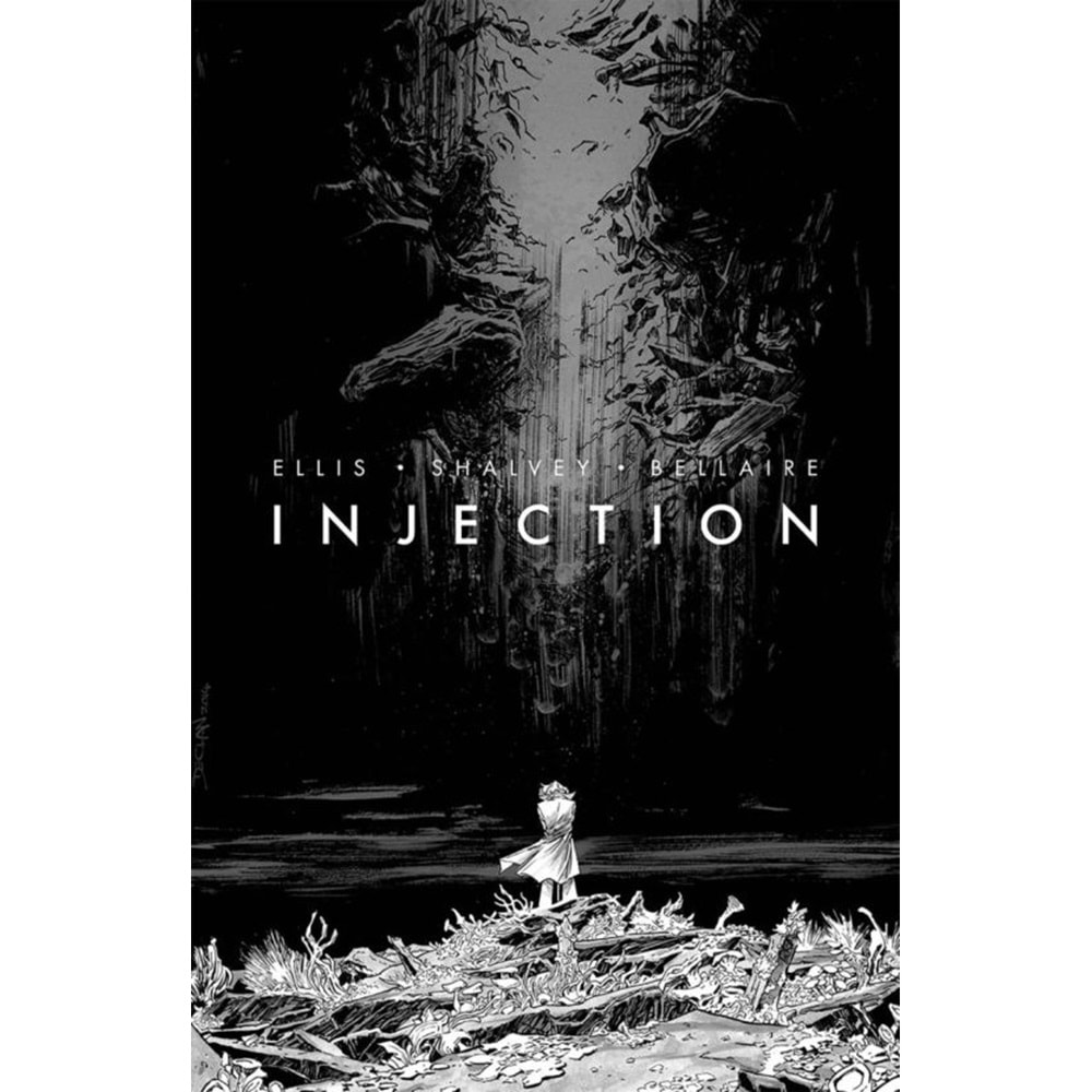 IMAGE GIANT SIZED ARTIST PROOF INJECTION