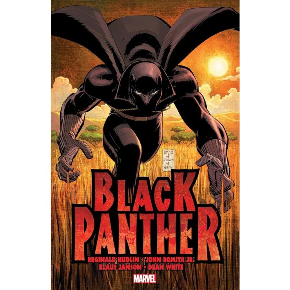 BLACK PANTHER WHO IS BLACK PANTHER TPB