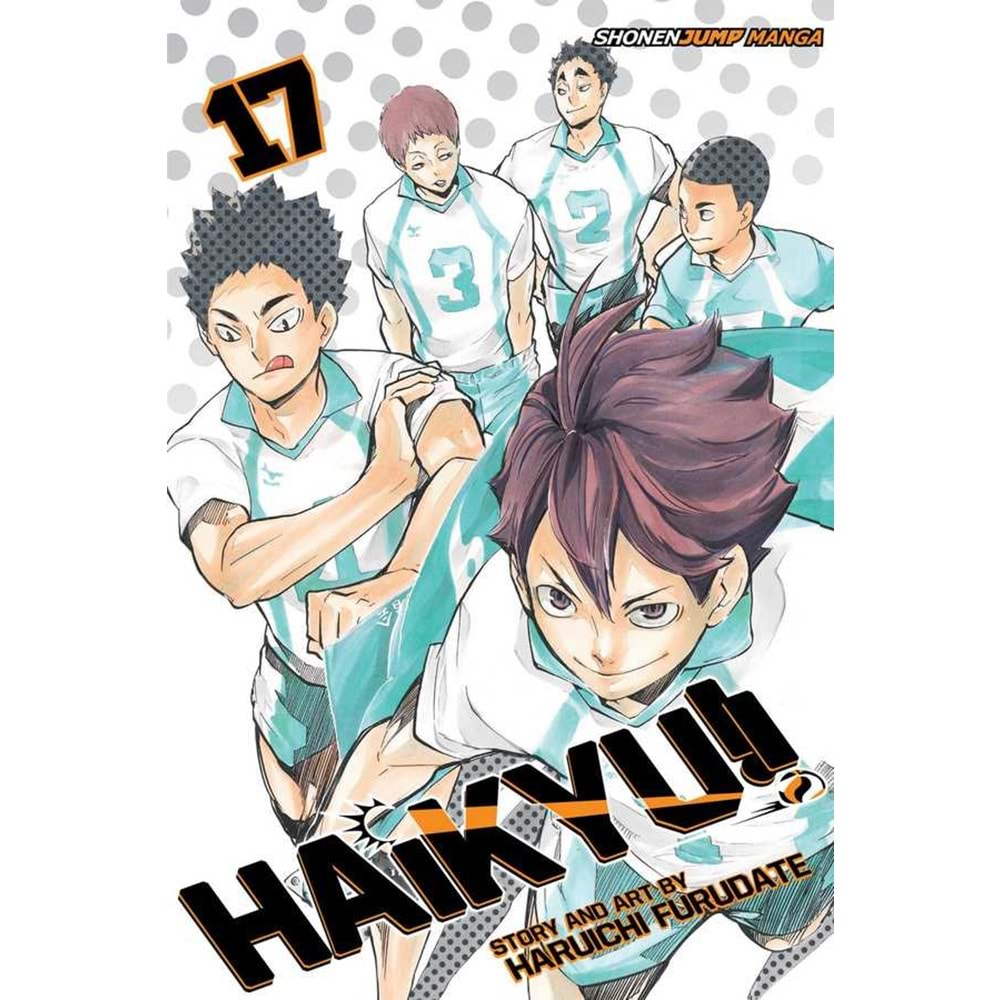 HAIKYU VOL 17 TPB