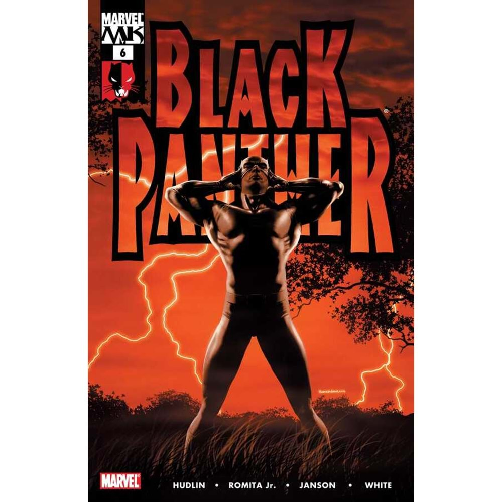 BLACK PANTHER (2005) # 6