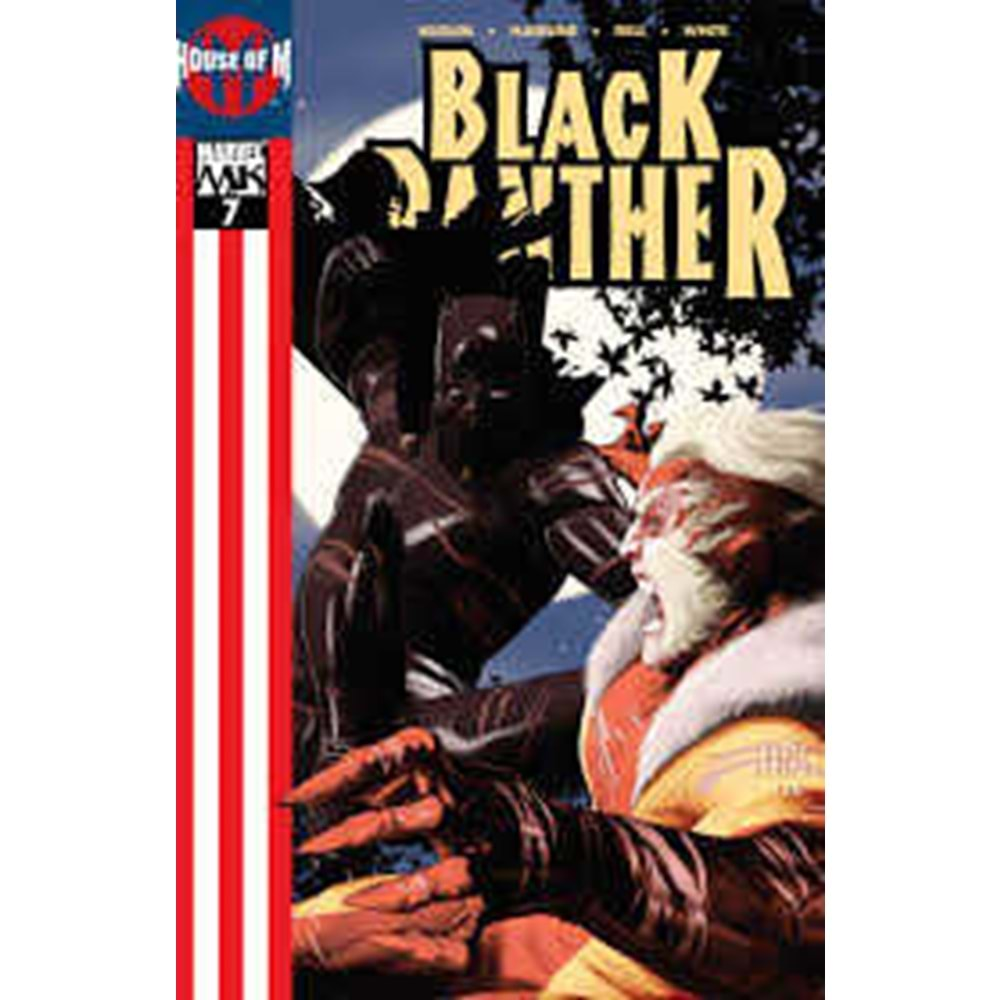 BLACK PANTHER (2005) # 7