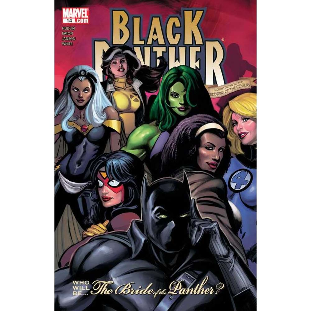 BLACK PANTHER (2005) # 14