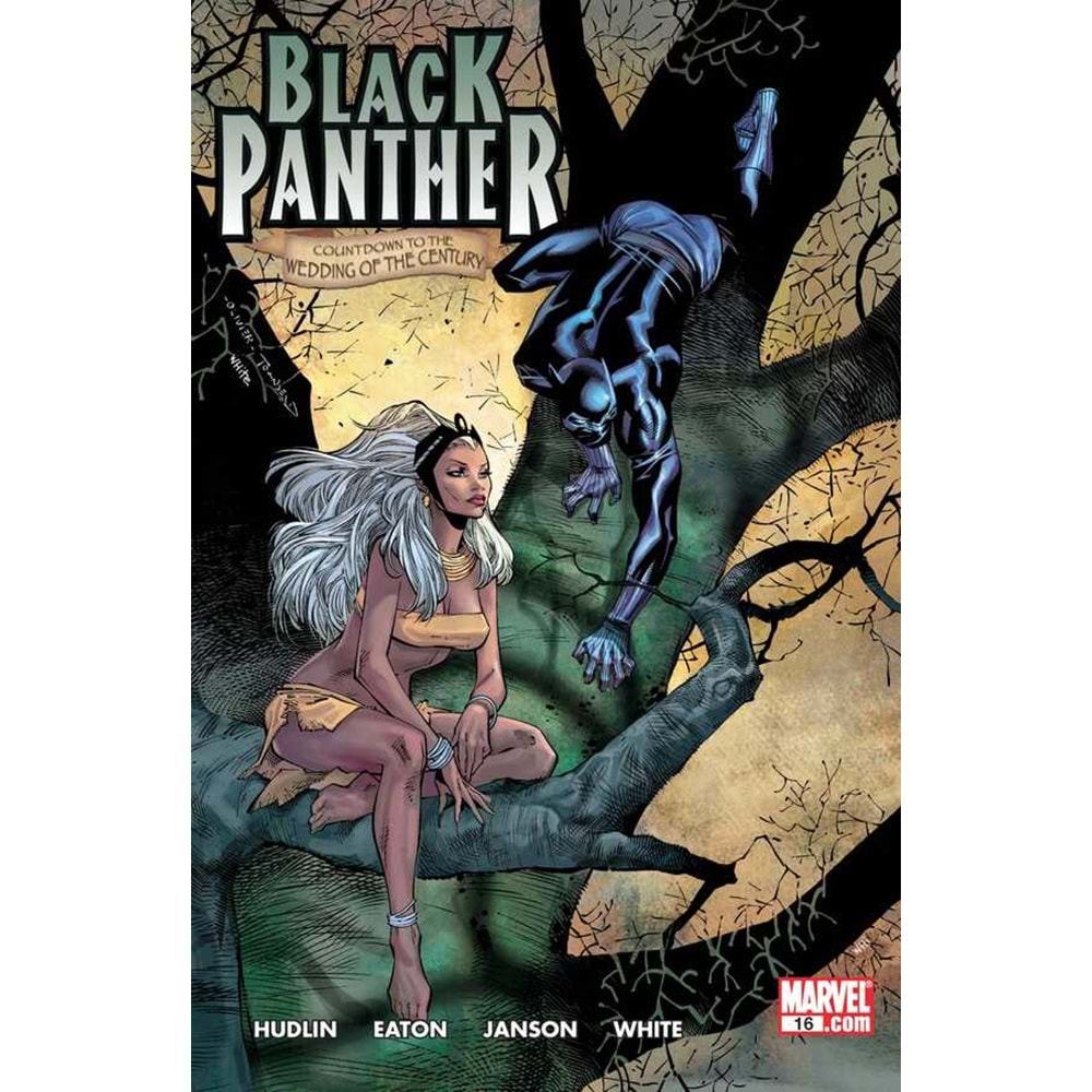 BLACK PANTHER (2005) # 16