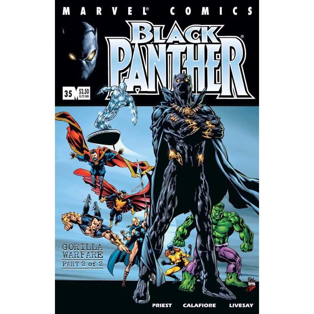 BLACK PANTHER (1998) # 35