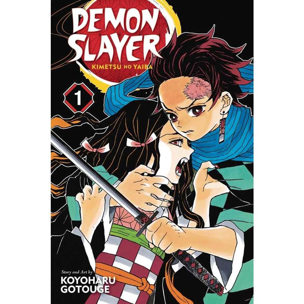 DEMON SLAYER KIMETSU NO YAIBA VOL 1 TPB