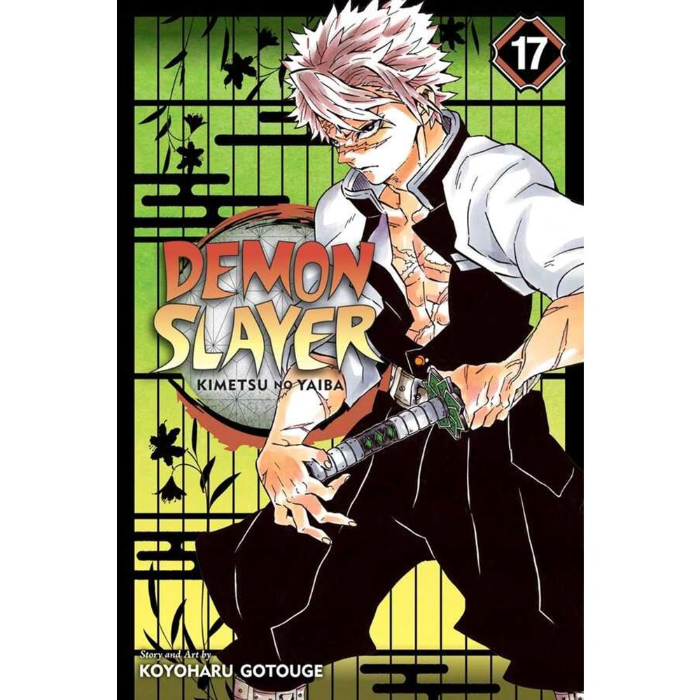 DEMON SLAYER KIMETSU NO YAIBA VOL 17 TPB