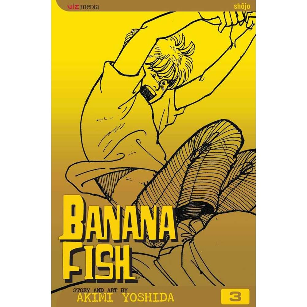 BANANA FISH VOL 3 TPB