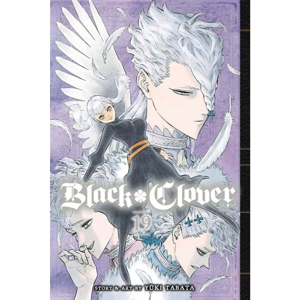 BLACK CLOVER VOL 19 TPB