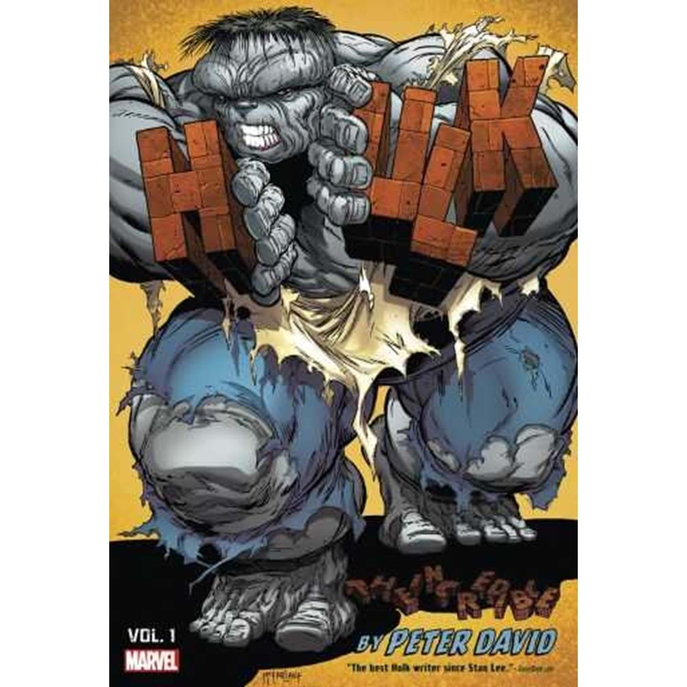 INCREDIBLE HULK BY PETER DAVID OMNIBUS VOL 1 HC MCFARLANE COVER