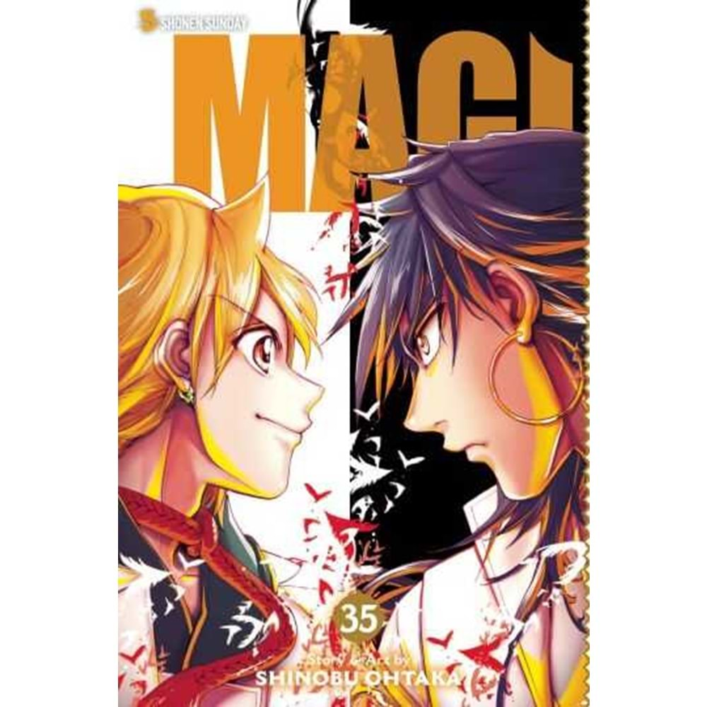 MAGI THE LABYRINTH OF MAGIC VOL 35 TPB