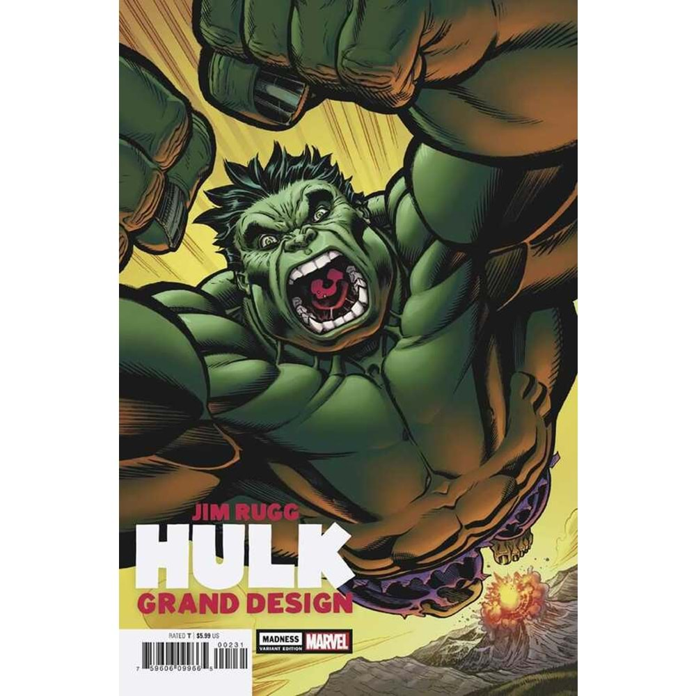 HULK GRAND DESIGN MADNESS # 1 MCGUINNESS VARIANT