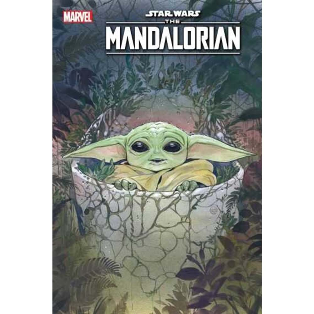 STAR WARS MANDALORIAN # 4 MOMOKO VARIANT