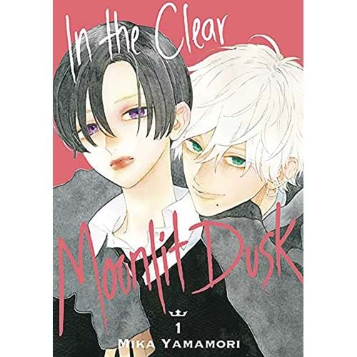 IN THE CLEAR MOONLIT DUSK VOL 1 TPB