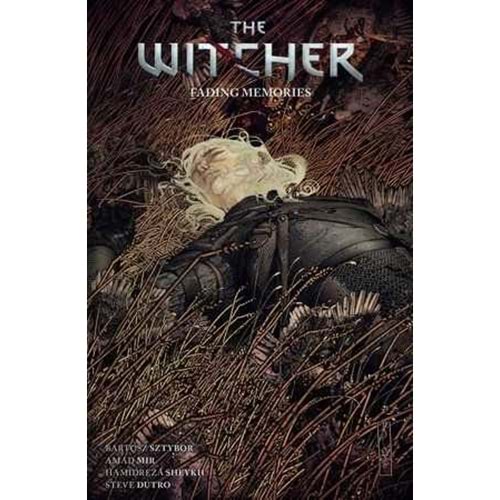 WITCHER VOL 5 FADING MEMORIES TPB