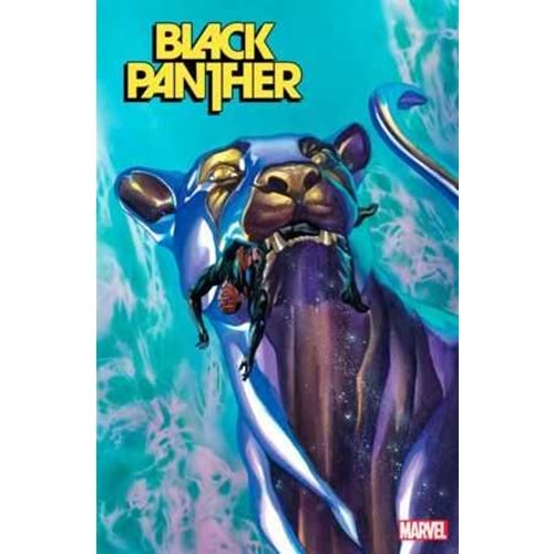 BLACK PANTHER (2022) # 15