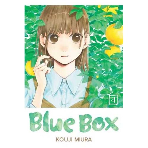 BLUE BOX VOL 4 TPB