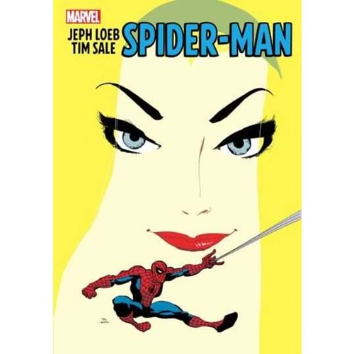 JEPH LOEB AND TIM SALE SPIDER-MAN GALLERY EDITION HC