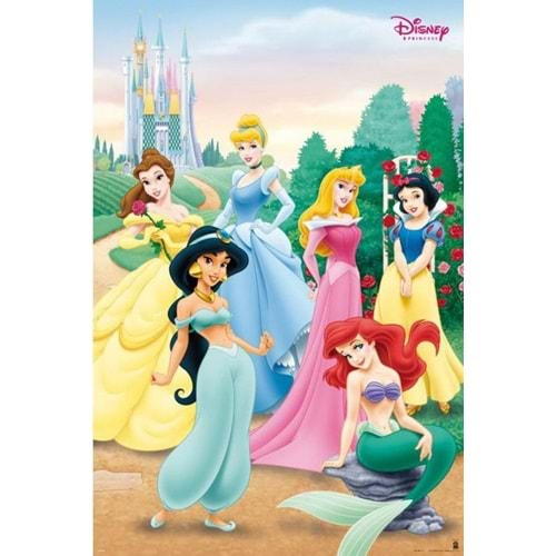 DISNEY PRINCESS POSTER