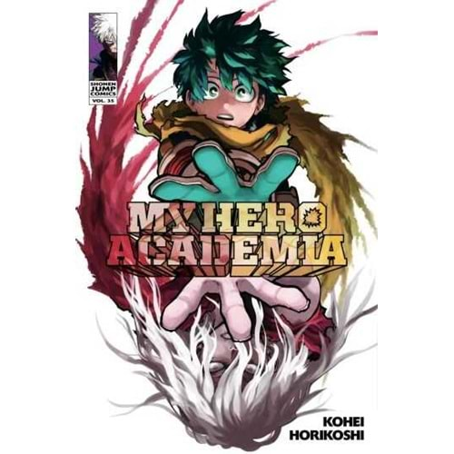 MY HERO ACADEMIA VOL 35 TPB