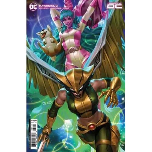 HAWKGIRL # 2 (OF 6) COVER B DERRICK CHEW CARD STOCK VARIANT