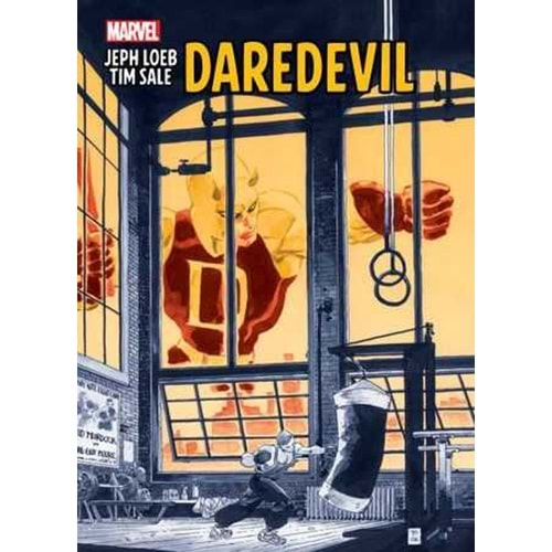 JEPH LOEB AND TIM SALE DAREDEVIL GALLERY EDITION HC