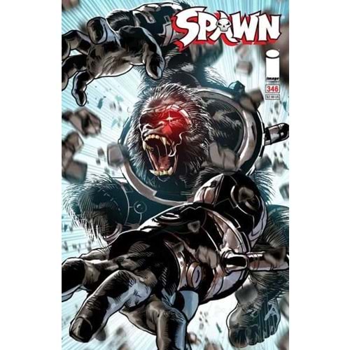 SPAWN # 346 COVER A MIKE DEODATO