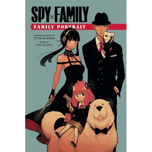SPY X FAMILY FAMILY PORTRAIT NOVEL TPB
