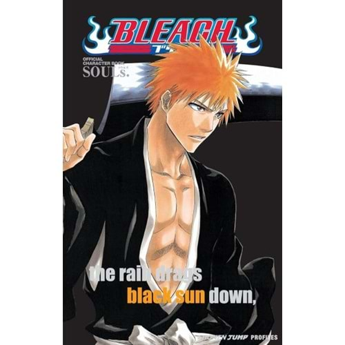 BLEACH OFFICIAL CHARACTER BOOK SOULS TPB