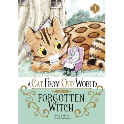 A CAT FROM OUR WORLD AND THE FORGOTTEN WITCH VOL 1 TPB