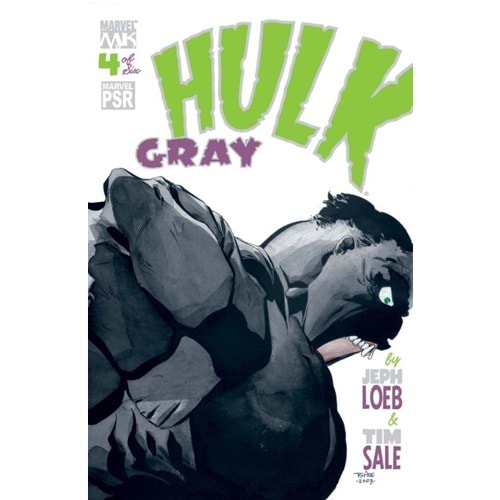 HULK GRAY# 4