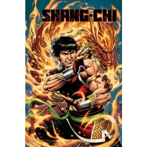 SHANG-CHI BY GENE LUEN YANG VOL 1 BROTHERS AND SISTERS TPB