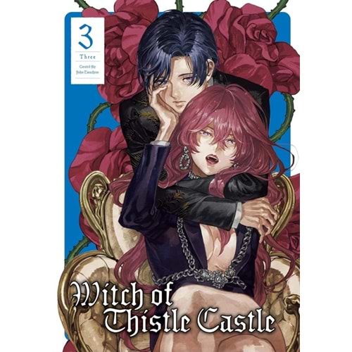 WITCH OF THISTLE CASTLE VOL 3 TPB