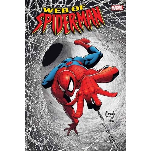 WEB OF SPIDER-MAN (2024) # 1