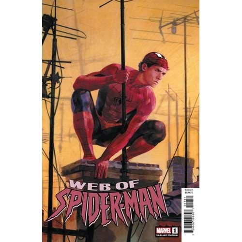 WEB OF SPIDER-MAN (2024) # 1 ALEX MALEEV VARIANT