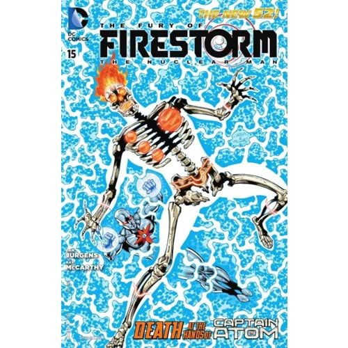 FURY OF FIRESTORM (2011) # 15