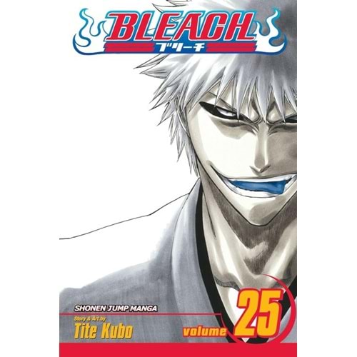 BLEACH VOL 25 TPB