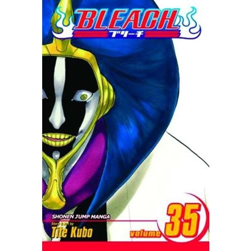 BLEACH VOL 35 TPB