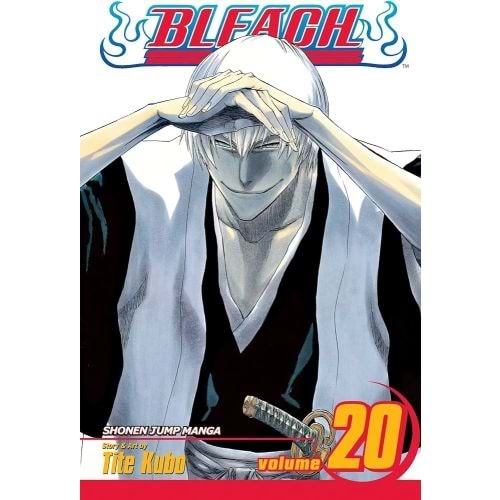 BLEACH VOL 20 TPB