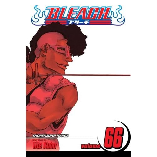 BLEACH VOL 66 TPB