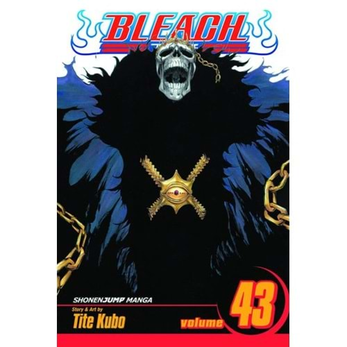 BLEACH VOL 43 TPB