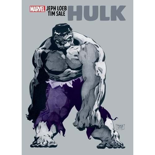 JEPH LOEB AND TIM SALE HULK GALLERY EDITION HC