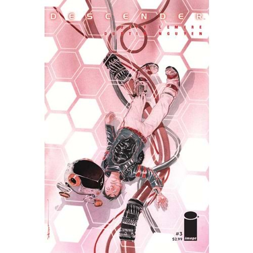 DESCENDER # 3